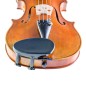 Wittner 250111 Barbada Lateral 4/4 Antialérgica