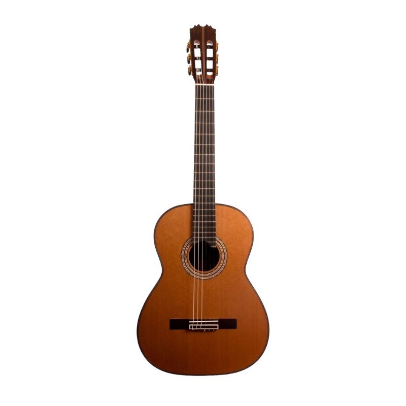 Antonio De Toledo 270C Palosanto
