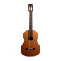 Antonio De Toledo 270C Palosanto