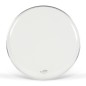 Remo 10" Aut-0310-Bd Ut Diplomat Transparente
