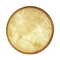 Gonalca 15"  Parche para Djembe