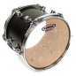 Evans 13" TT13G1 G1 Clear