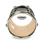 Evans 13" TT13G1 G1 Clear
