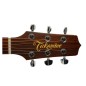 Daddario PWAT-331L Auto Trim 3+3 Tuning Machines