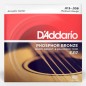 Daddario EJ17 13-56
