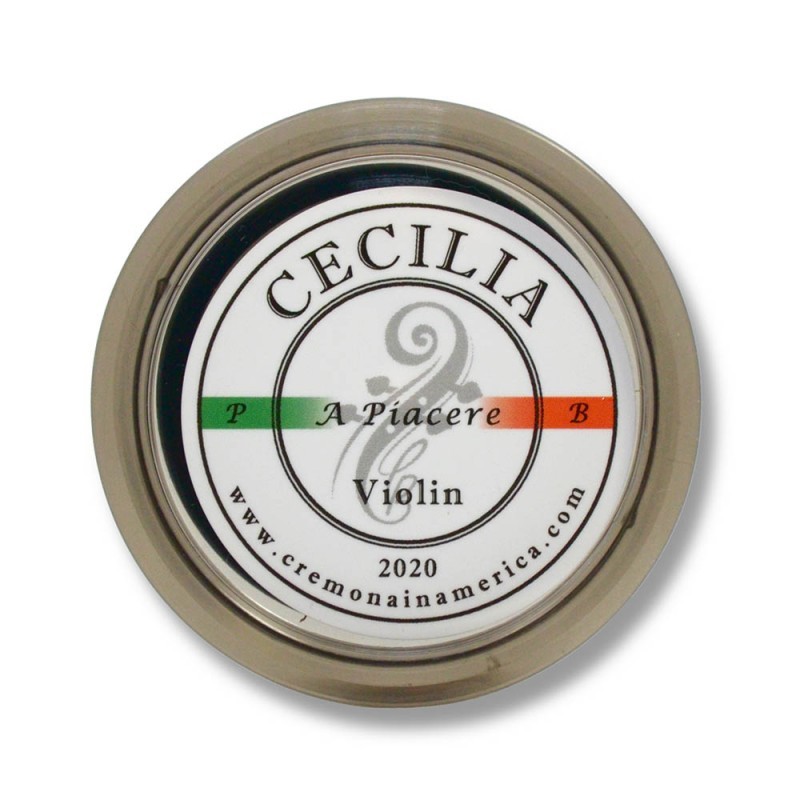 Cecilia Rosin Solo pequeña 2020