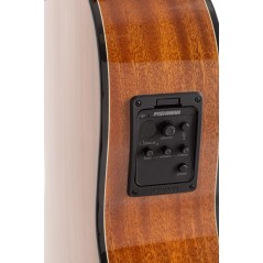 Admira A2 electrificada Fishman