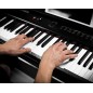 Artesia Harmony