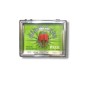 AGUJA DIAMANTE - 806 DST W - SANYO
