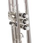 Amadeus TR700 trompeta plateada sib