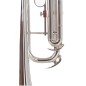 Amadeus TR700 trompeta plateada sib