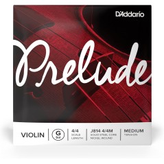 4ª Daddario Prelude J814 G (Sol) 4/4