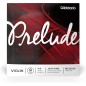 4ª Daddario Prelude J814 G (Sol) 4/4