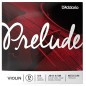 3ª Daddario Prelude J813 D (Re) 4/4