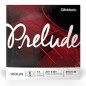 1ª Daddario Prelude J811 E (Mi) 4/4