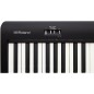 Roland FP-10X Bk
