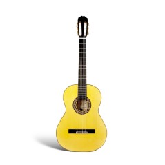 Raimundo 145 Ciprés