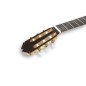 Raimundo 145 Ciprés