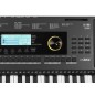 Medeli M361 teclado 61 teclas