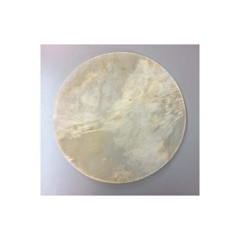 Honsuy 58320 Parche Piel 55 cm