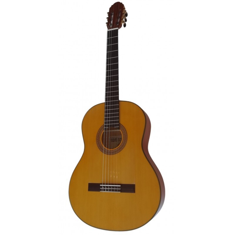 Benitez Flamenca Estudio Pro + funda acolchada