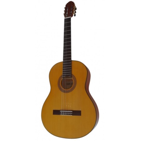 Benitez Flamenca Estudio Pro + funda acolchada