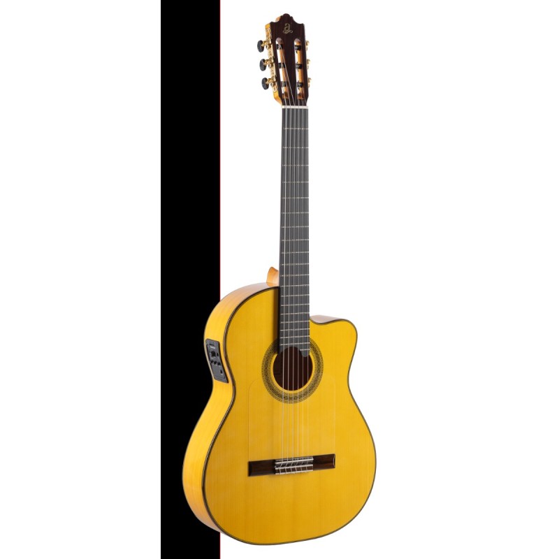 Admira Buleria ECF Cutaway