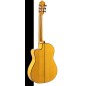 Admira Buleria ECF Cutaway