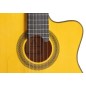 Admira Buleria ECF Cutaway