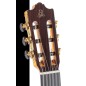 Admira Buleria ECF Cutaway