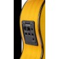 Admira Buleria ECF Cutaway