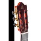 Admira Alegría ECF Cutaway