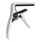 Boston CAPO/CL-02 aluminio classic