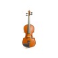 Stentor Student Standard 4/4 violin + Ajustado Luthier
