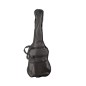 Daytona PGLPDBK pack les paul negro