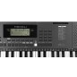 Medeli MK100