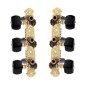 Rondine BOS-020B3P Clavijero dorado negro