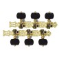Rondine BO-020B3P Clavijero dorado negro
