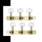 Rondine BOS-022V1P Clavijero dorado blanco