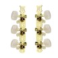 Rondine BOD-019C(P) Clavijero dorado blanco