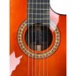 Antonio de Toledo ATF-17NRE CW Palosanto Rojo Fishman