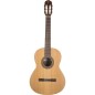 Jose Torres JTC-5S Guitarra Clasica