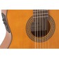 Admira Juanita electrificada EQ6 con cutaway