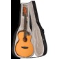 Tanglewood TRGT4CE super folk roadster gt