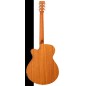 Tanglewood TRGT4CE super folk roadster gt