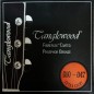 Tanglewood TRGT4CE super folk roadster gt