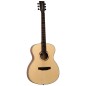 Tanglewood TS3 folk serie strada