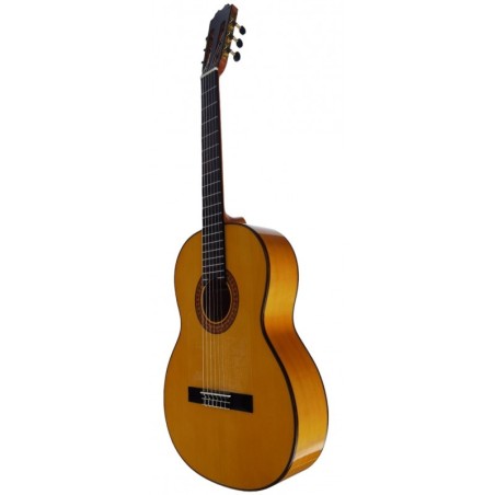 Benitez Flamenca Buleria Pro + funda acolchada