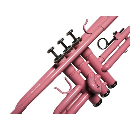 Taylor Collins TCTR-09 PK Rosa