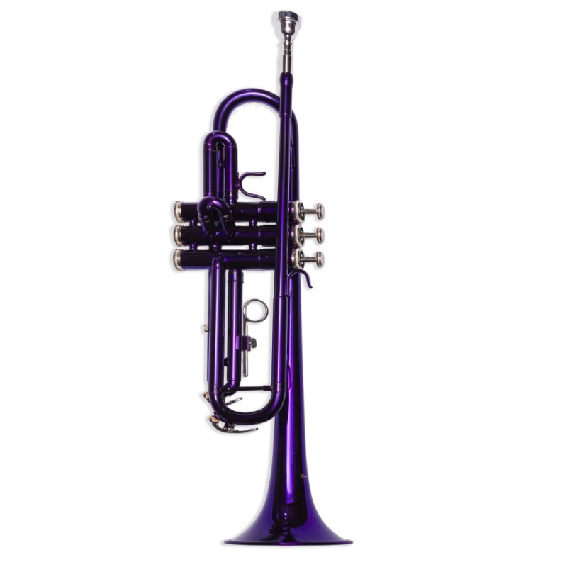 Taylor Collins TCTR-09 PR Morada